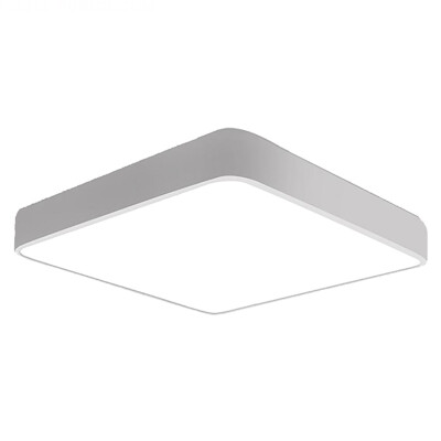LED Ceiling lamp ZM1711-1009