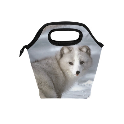 Insulated Lunch Tote Bag Arctic Fox Travel Picnic Lunch Handbags Portable Zipper Lunch Bag Box
Insulated Lunch Tote Bag Arctic Fox Travel Picnic Lunch Handbags Portable Zipper Lunch Bag Box