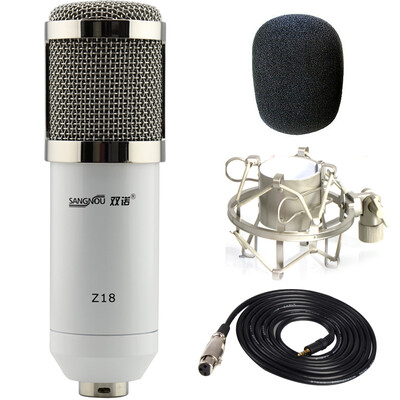 Double promise Z18 condenser microphone recording microphone computer network K song YY voice microphone recording equipment recording studio dedicated white
Double promise Z18 condenser microphone recording microphone computer network K song YY voice microphone recording equipment recording studio dedicated white