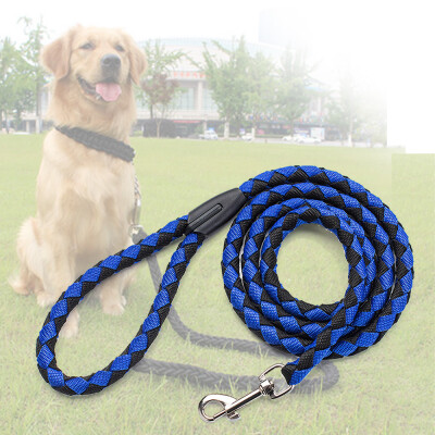 Nylon Dog Leash 5ft Long Walking Dog Rope Metal Clasp Dog Chain Traction Rope for Medium Dog Training Walking Outside
Nylon Dog Leash 5ft Long Walking Dog Rope Metal Clasp Dog Chain Traction Rope for Medium Dog Training Walking Outside