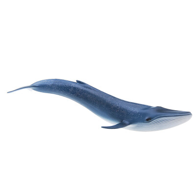 

[Супермаркет] Jingdong Сил Шлех модель игрушки детей имитационная модель животных морских животных просветлению познавательные обучающие игрушки - игрушки синий кит SCHC14696