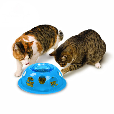 American imports pioneer pet wet petty pot pet food bowl 2003B blue 3oz cat dog bowl
American imports pioneer pet wet petty pot pet food bowl 2003B blue 3oz cat dog bowl