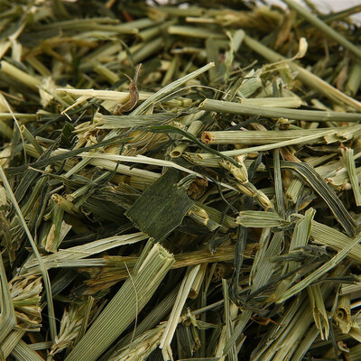 Ham little pet preferred to mention Moses grass rabbit guinea pig dragon cat molars staple pasture hay 454g
Ham little pet preferred to mention Moses grass rabbit guinea pig dragon cat molars staple pasture hay 454g