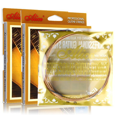 Alice Alice Folk Guitar String Wire Skeleton Фортепианная струнная гитара String 1-6 Strings 6 Pack AW432-SL
Alice Alice Folk Guitar String Wire Skeleton Фортепианная струнная гитара String 1-6 Strings 6 Pack AW432-SL