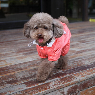 Pet модели собака плащ рюкзак плюшевый медведь Бишон щенок одежда Teddy одежды любимчика одежды светло-голубой № 4
Pet модели собака плащ рюкзак плюшевый медведь Бишон щенок одежда Teddy одежды любимчика одежды светло-голубой № 4