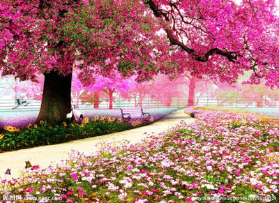 Custom photo wallpaper mural TV background wall bedroom living room pink cherry tree garden 3D wallpaper mural
Custom photo wallpaper mural TV background wall bedroom living room pink cherry tree garden 3D wallpaper mural
