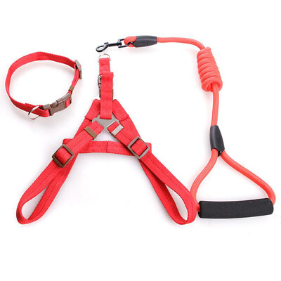 Junxiao dog chain dog rope small dog middle dog traction rope walk dog rope dog dog traction belt walk dog traction rope reflective traction rope black number
Junxiao dog chain dog rope small dog middle dog traction rope walk dog rope dog dog traction belt walk dog traction rope reflective traction rope black number