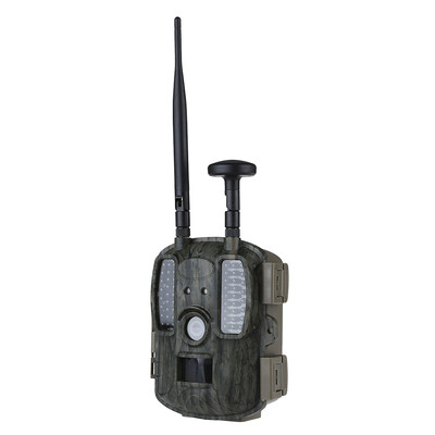 Photo-Traps hunting trapping cameras 4G GPS FDD-LTE night vision hunting camera with double Antenna wild Animals trap cameras
Photo-Traps hunting trapping cameras 4G GPS FDD-LTE night vision hunting camera with double Antenna wild Animals trap cameras