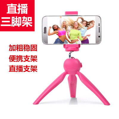 ESCASE mobile phone stand three legs SLR support video conferencing TV series chase drama stand for 35-6 inch mobile phone ES-T1 universal cherry powder
ESCASE mobile phone stand three legs SLR support video conferencing TV series chase drama stand for 35-6 inch mobile phone ES-T1 universal cherry powder