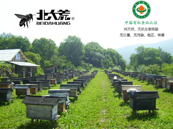 东北特产 北大荒东北黑蜂蜂珍四宝礼盒1490g