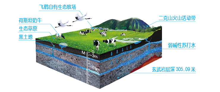 飞鹤超级飞帆3段幼儿配方奶粉 400克在京东商