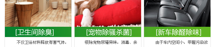 绿之源 衣柜高效活性炭 装修除甲醛活性炭汽车除味去甲醛清除剂净化除味炭包