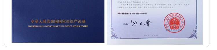 绿之源 衣柜高效活性炭 装修除甲醛活性炭汽车除味去甲醛清除剂净化除味炭包