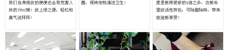 绿之源 甲醛宝除甲醛家庭装 装修除甲醛活性炭汽车除味去甲醛清除剂净化除味炭包