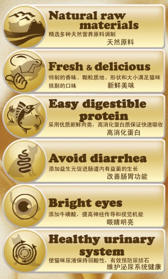 珍爱多LOVER'S SUPER AWARD 美食猫专享