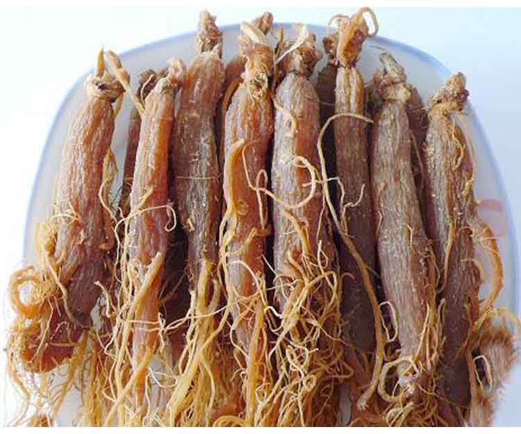 康美新开河福源礼品参65克价格\/图片,最新款式