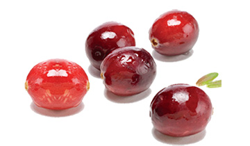 AvailNaturals 蔓越莓精华90粒 价格\/AvailNatura