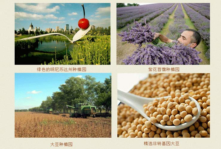 AvailNaturals 蔓越莓精华90粒 价格\/AvailNatura