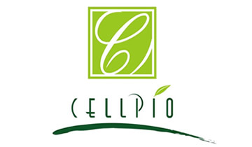 世比奥Cellpio美白保湿面霜50ml 价格、套装、