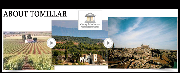 西班牙 托美亚精选干红葡萄酒 750ml*2瓶 价格