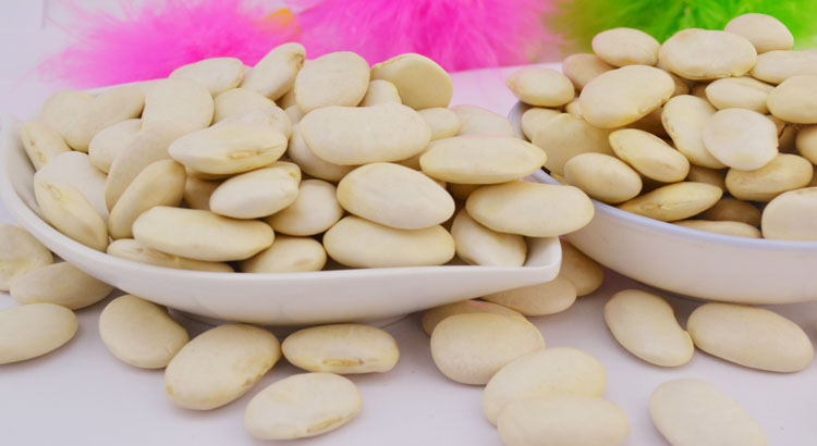 白扁豆哪里买卖比较好的 白扁豆种子价格