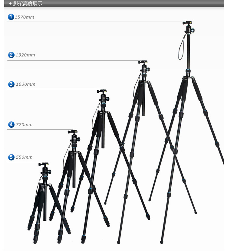 富图宝(Fotopro) CT-5A 相机专业三脚架 黑色 1