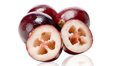 AvailNaturals 蔓越莓精华90粒 价格\/AvailNatura