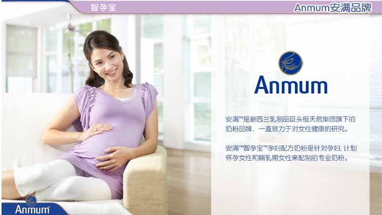 Anmum 安满智孕宝孕妇配方奶粉 300克 价格、