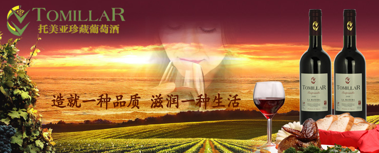 西班牙 托美亚精选干红葡萄酒 750ml*2瓶 价格