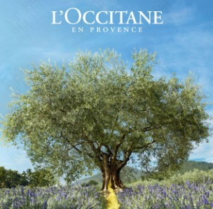 欧舒丹LOCCITANE樱花味淡香水50ml 价格、套