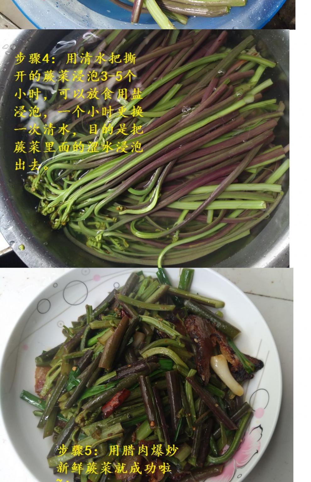 蕨菜新鲜现摘山蕨菜甜蕨苔龙爪菜现采蔬菜下饭菜5斤蔬菜1500g