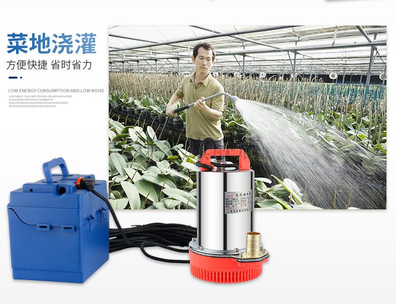 直流潜水泵农用抽水泵12v24v48v60v大流量充电水泵浇菜抽水机灌溉12v