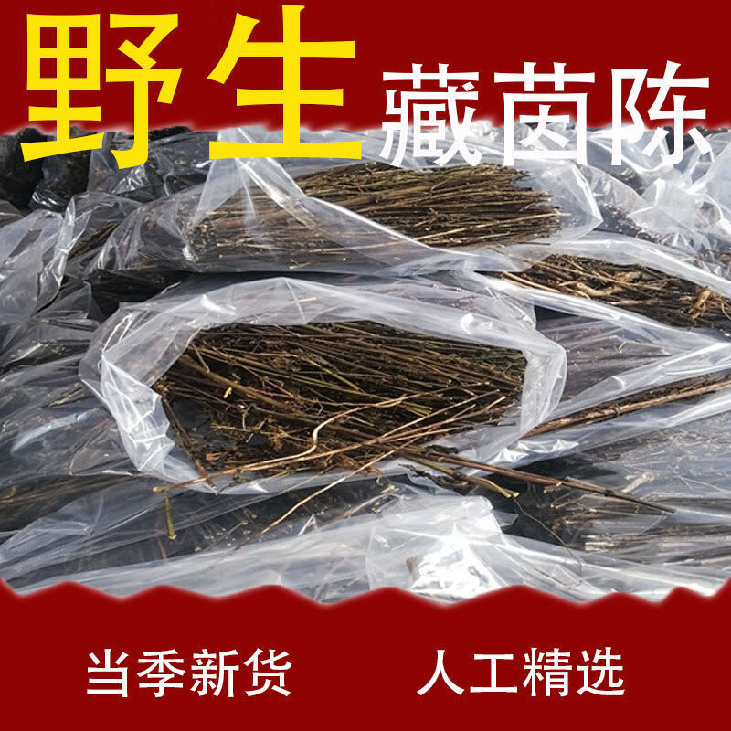 藏茵陈精选野生西藏正宗肝黄草天然藏区茵陈护初级农产品肝藏茵陈500