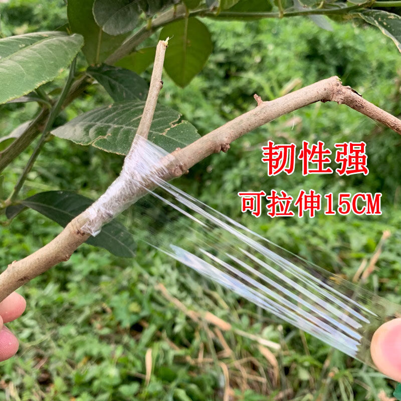 隆鼎嫁接膜嫁接膜接树果树缠绕膜嫁接专用塑料薄膜自粘环保透明拉伸膜