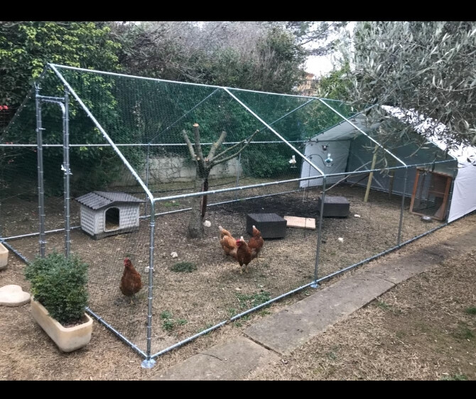 大型鸡笼养鸡棚户外钢管搭建养殖大棚家禽养殖棚家用宠物笼子鸡舍 顶