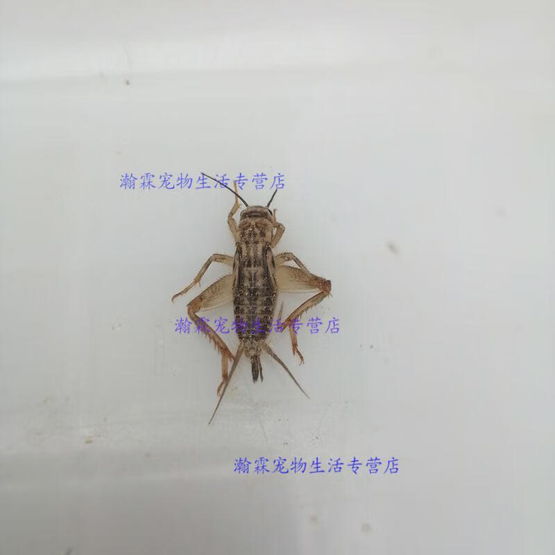 a7bbcce624c8667b.jpg