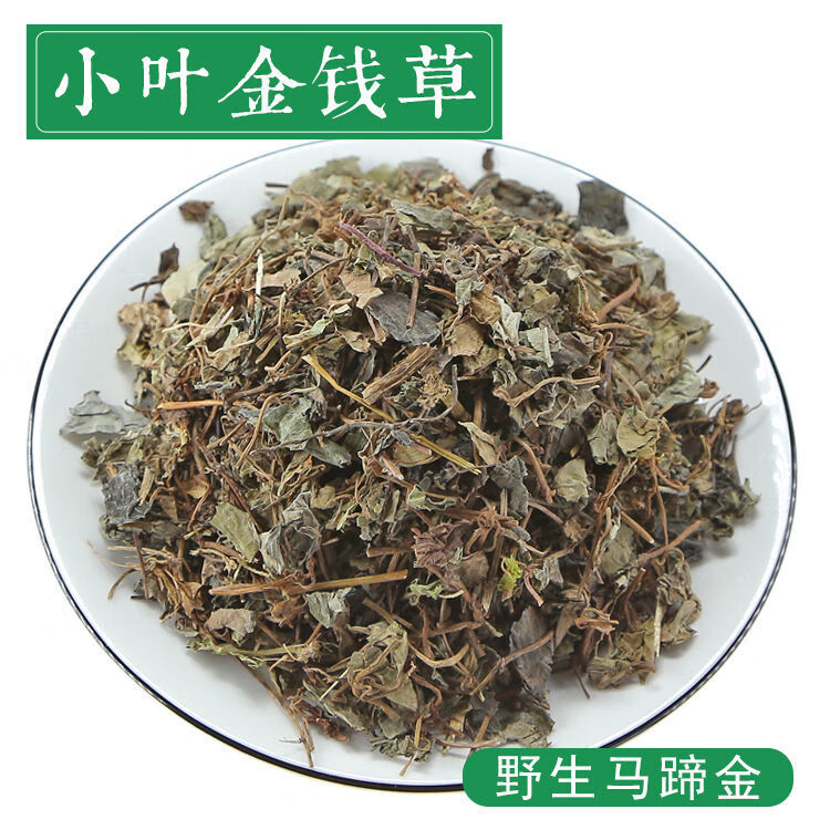 小叶金钱草野外种植生长中药材马蹄金溶石茶化石碎石小过路黄中草药