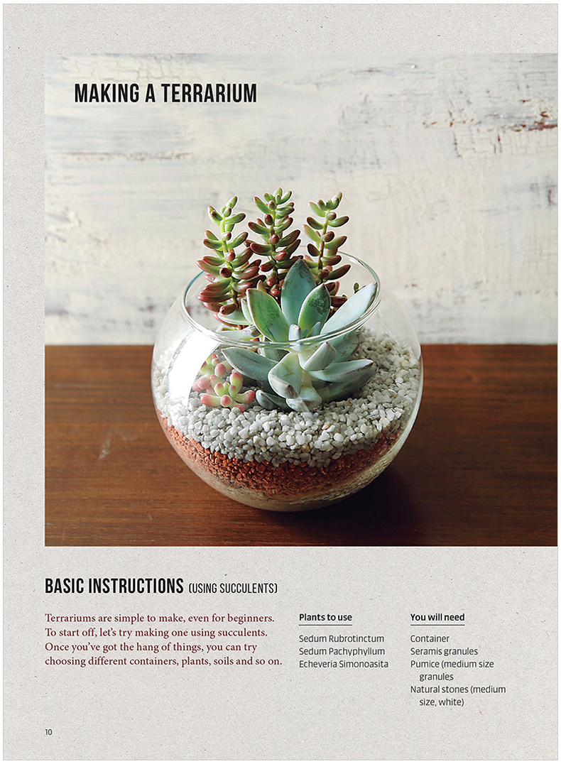 miniature terrariums微型玻璃盆栽 室内园艺手工室内设计多肉栽培