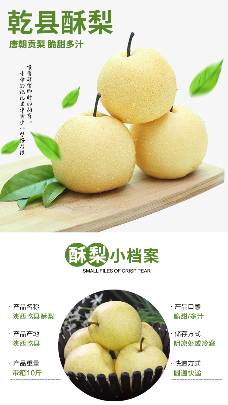 陕西乾县酥梨贡梨脆甜梨子当季新鲜蜜梨10斤水果整箱雪梨 大大果 4500