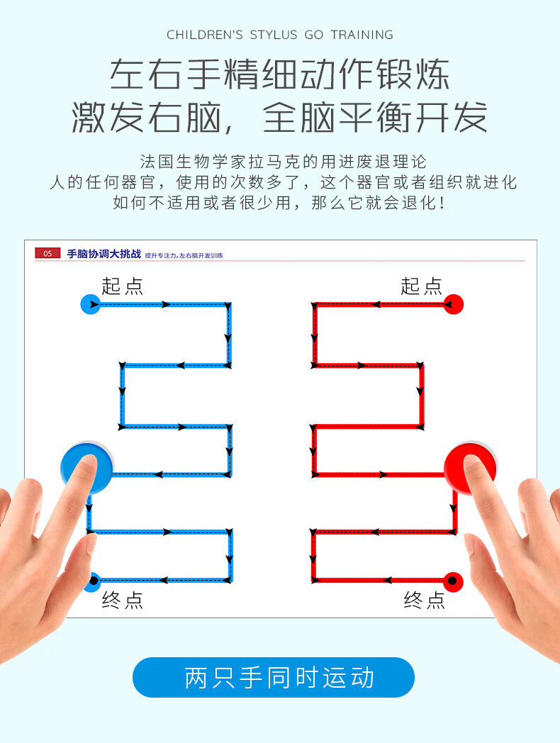 左右脑全脑开发手眼协调轨迹训练教具幼儿童专注力精细动作思维玩具