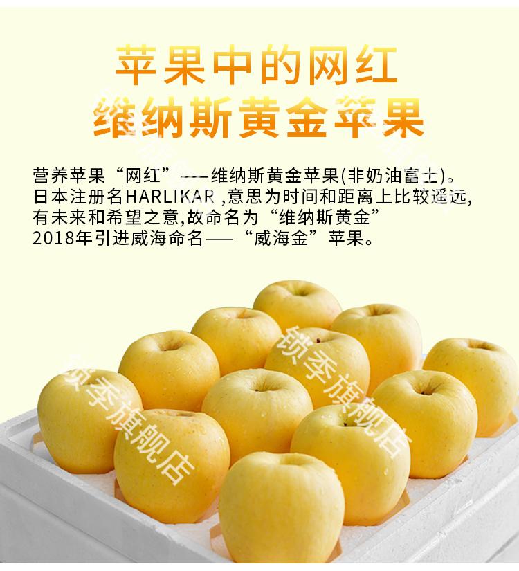 顺丰山东威海荣成维纳斯黄金苹果威海金苹果黄金苹果脆甜新鲜水果现摘