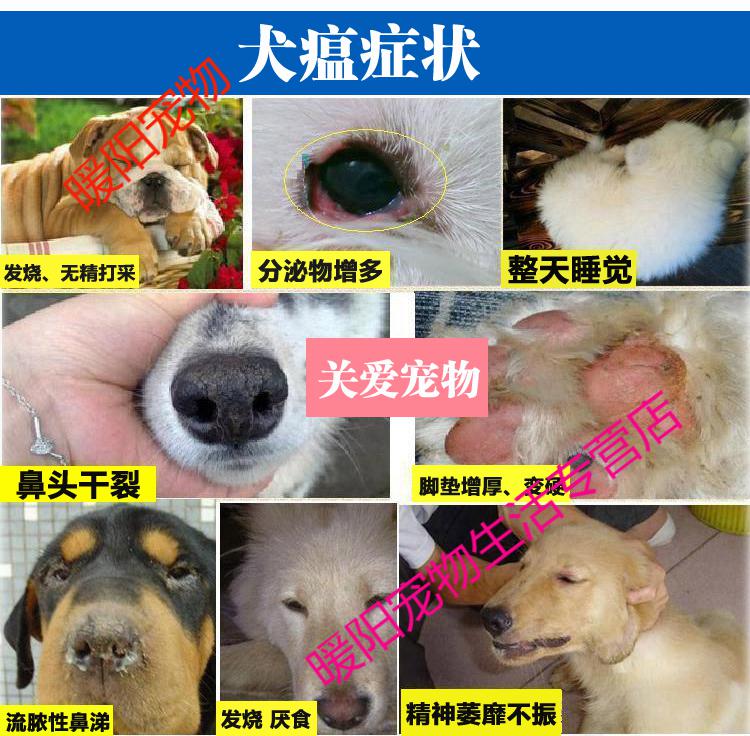 天弗犬瘟治疗套餐狗瘟治疗药单抗血清犬瘟细小犬瘟抽搐犬瘟单克隆抗体