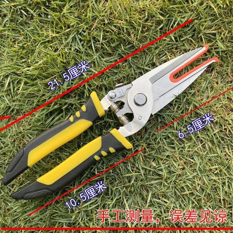 疏果剪双口剪.新款农用疏花剪刀疏果双口剪/不锈钢煅