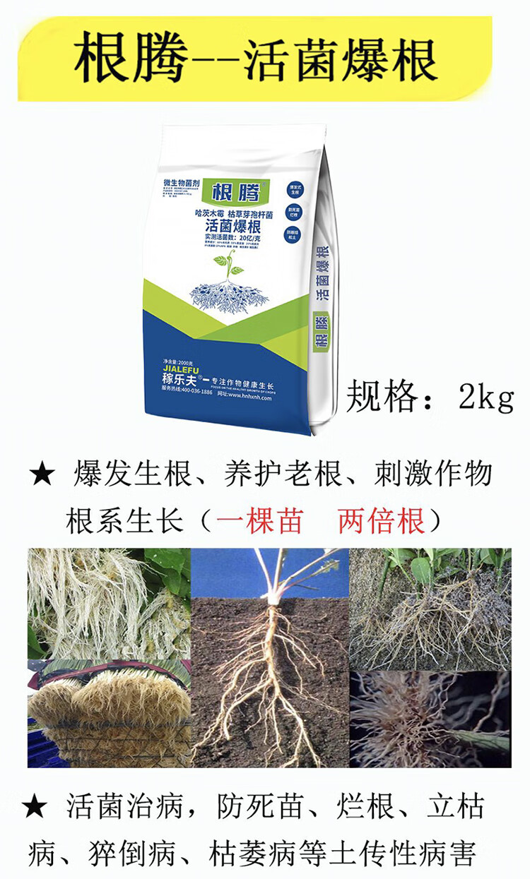稼乐夫根腾微生物菌剂活菌爆根防死苗烂根爆发式生根