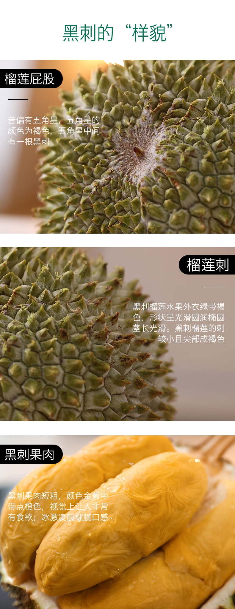 【顺丰空运-多地次日达】【送礼优选】正宗马来西亚黑刺榴莲稀缺品种