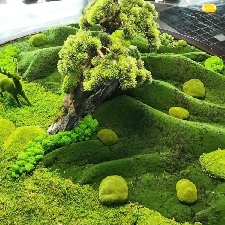 仿真青苔藓草皮草坪植物墙景观植物场景橱窗展示盆景盆栽假苔藓 军