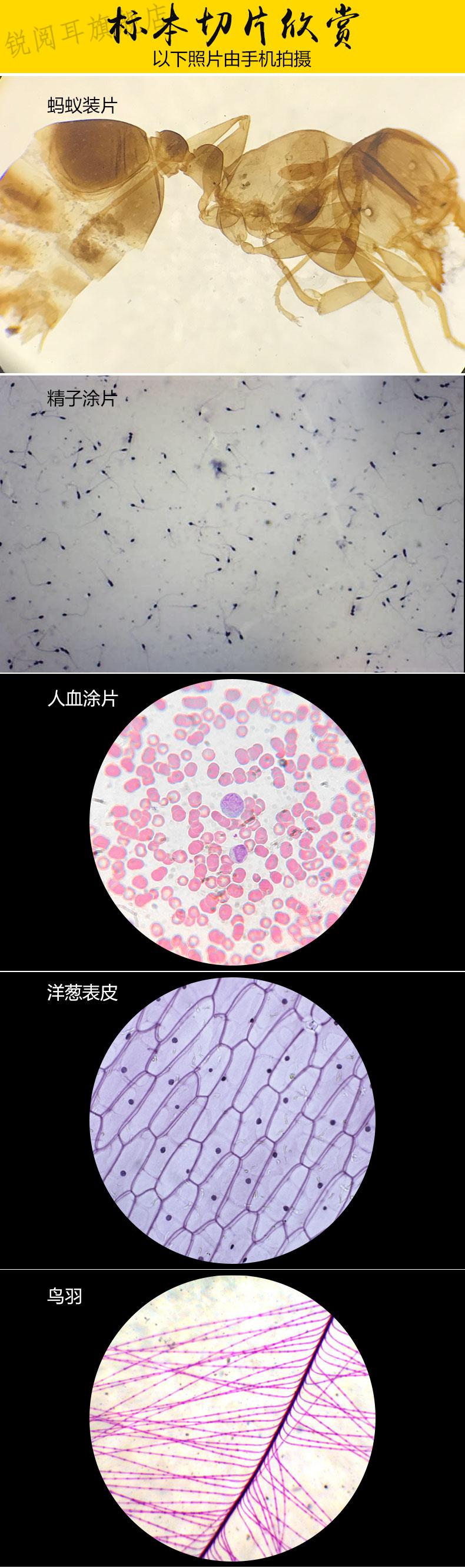 2022年新款显微镜载玻片一滴血载玻片盖玻片套装包玻璃生物显微镜标本