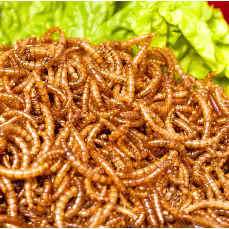 油炸香辣面包虫即食熟食黄粉虫美味昆虫蚂蚱虫子美食一罐人食【图片