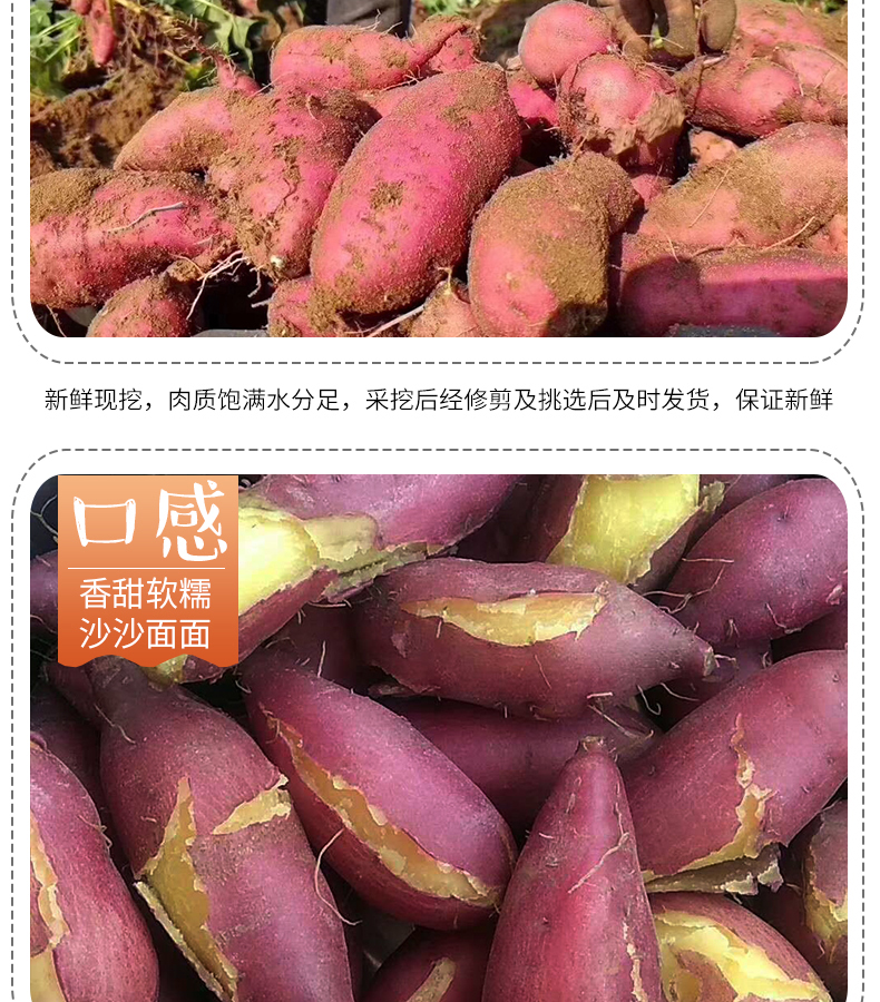 桥头地瓜【中果5/9斤】海南特产桥头沙地富硒地瓜板栗红薯农家自种
