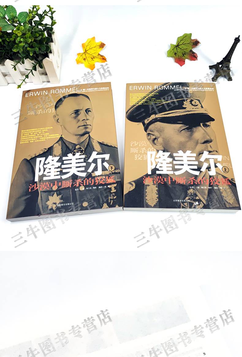 隆美尔传风云人物传记自传全套2册第二次世界大战十大名将丛书二战